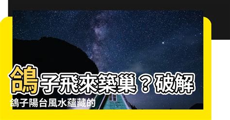 鴿子預兆|【鴿子風水】鴿子築巢、飛來家中的風水徵兆，好運還是凶兆？